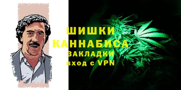 spice Алзамай