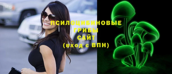 амф Алексин