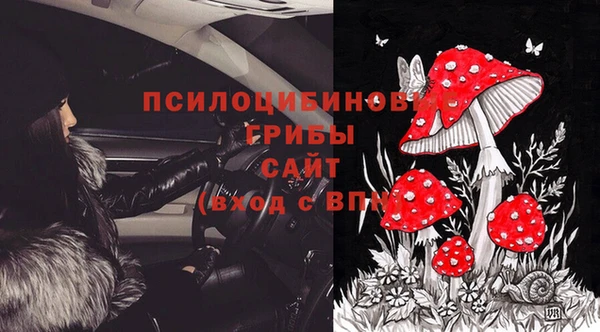 spice Алзамай