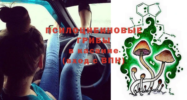 амф Алексин