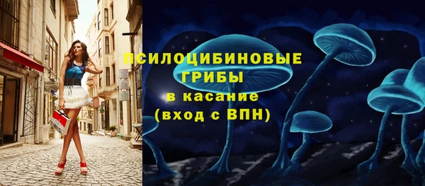 амф Алексин