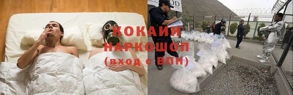 амф Алексин